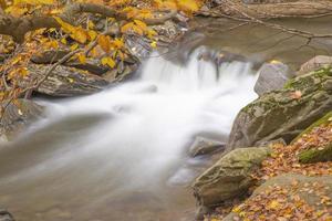 Cachoeira pequena congelada em câmera lenta com floresta de outono amarela foto