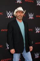 los angeles - 6 de junho - shawn michaels na wwe para seu evento de consideração no tv academy saban media center em 6 de junho de 2018 em north hollywood, ca foto