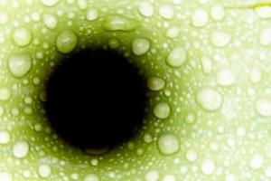 pontos pretos em primeiro plano, com gotas de água na folha verde com listras brancas ao fundo. foto
