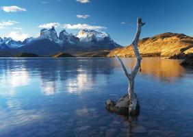 parque nacional torres del paine, patagônia, chile