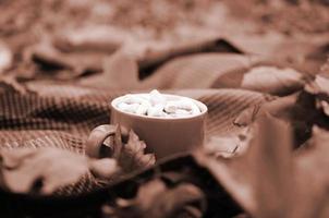 folhas de outono e xícara de café fumegante está na manta quadriculada ao ar livre foto