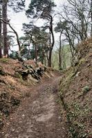 uma vista da zona rural de shropshire em grinshill foto