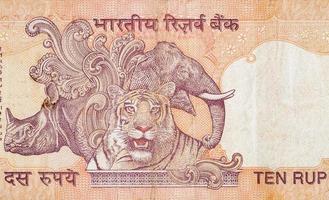 elefante rinoceronte e tigre retratado na nota de banco indiana dez rúpias. 10 rupias moeda nacional da índia inr foto