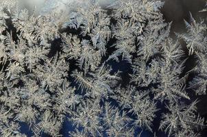 macro de geada de flocos de neve no painel de vidro da janela foto