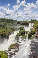 muitas cachoeiras no parque nacional iguazu foto