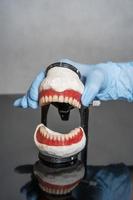 prótese dentária nas mãos do médico close-up. dentista segurando a ponte dental cerâmica. vista frontal da prótese total. foto conceitual de odontologia. prótese dentária.