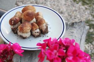 prato de cogumelos porcini frescos com flores vermelhas foto