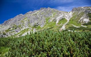 colina - predne solisko - em altos tatras, eslováquia foto