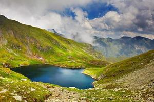 lago capra na romênia foto