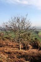 uma vista da zona rural de shropshire perto de grinshill foto