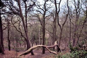 uma vista da zona rural de shropshire em grinshill foto