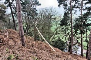 uma vista da zona rural de shropshire em grinshill foto