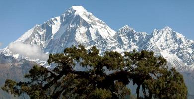 vista do monte dhaulagiri - nepal foto