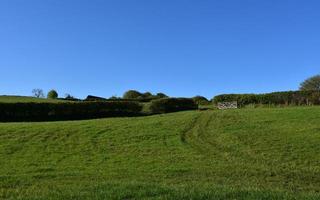 campo de grama verde exuberante sob céu azul em enerdale foto