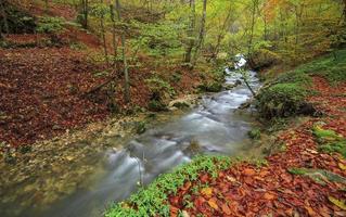 rio da montanha no final do outono