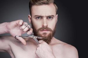 não mais barba. retrato de jovem bonito sem camisa cortando a barba com uma tesoura e olhando para a câmera em pé contra um fundo cinza foto