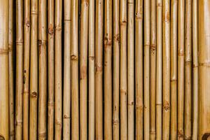 fundo de cerca de bambu