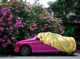 um pequeno carro rosa coberto com lona amarela estacionado ao lado de uma planta de buganvílias rosa foto