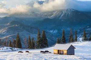bela paisagem de inverno nas montanhas foto