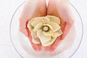 fresco e beleza. vista superior das mãos femininas tocando flor no recipiente com água foto