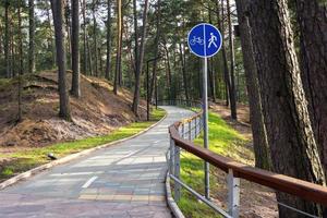 uma ciclovia sinuosa em um parque de verão entre pinheiros, uma trilha para caminhada, um sinal de ciclovia foto