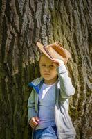 menino bonito posando com um chapéu de cowboy na floresta por uma árvore. os raios do sol envolvem o espaço. história de interação para o livro. espaço para copiar foto