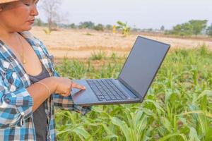 linda garota agricultora com pé de laptop em um campo de milho. foto