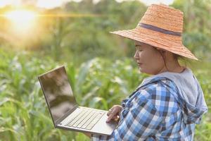 linda garota agricultora com pé de laptop em um campo de milho. foto