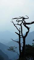 as belas paisagens das montanhas com a floresta verde e o penhasco rochoso em erupção como pano de fundo na zona rural da china foto