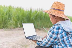 uma linda agricultora com um laptop senta-se no pasto. foto