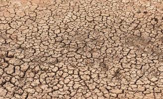 terra seca do solo rachado durante a seca. foto