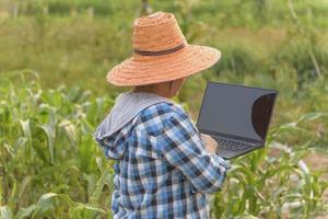 linda garota agricultora com pé de laptop em um campo de milho. foto