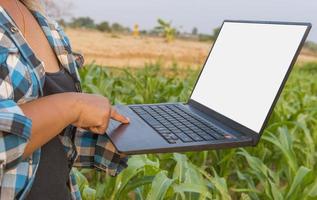 linda garota agricultora com pé de laptop em um campo de milho. foto