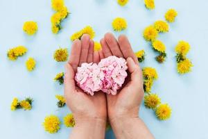 as mãos estão segurando flores brilhantes em um fundo azul pastel foto