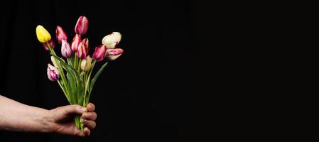 mão segura um grande buquê de delicadas tulipas multicoloridas foto