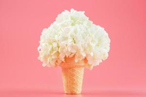 flores brancas em um cone de waffle de sorvete em um fundo rosa. foto
