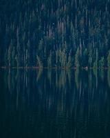 lago calmo em uma floresta escura foto