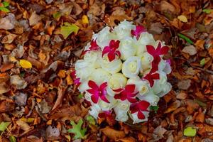 buquê de noiva de rosas brancas em um fundo de folhas foto