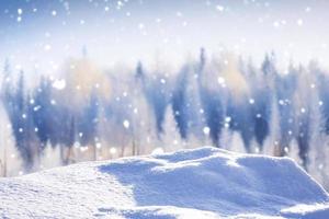 floresta de inverno congelado com árvores cobertas de neve. foto