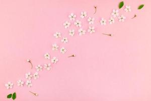 padrão de flores desabrochando de cerejeira de primavera branca foto