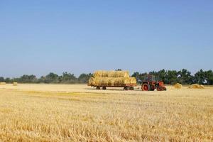 agricultura - trator carrega um palheiro. trator com feno. foto