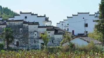 a bela vista da vila tradicional chinesa com a arquitetura clássica e árvores verdes frescas como pano de fundo foto