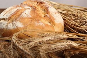 pão e espigas de trigo