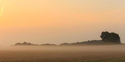 nevoeiro amanhecer da Baviera