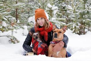 linda mulher sorridente está sentada na neve com seus dois cachorros embrulhados em xadrez vermelho e duas xícaras de chá quente na floresta de coníferas de inverno. foto