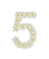 números cinco feitos de flores tropicais frangipani isolado no branco foto