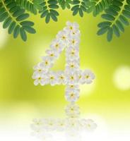 números quatro feitos de frangipani de flores tropicais em fundo natural foto
