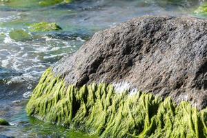 furo de maré do mar. ondas quebram em pedras cobertas de musgo e algas. bela paisagem marinha. foto