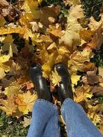 pernas em botas pretas e jeans azuis, de pé no chão com folhas de outono, vista superior. as pernas das mulheres nas folhas de outono. lindo outono foto