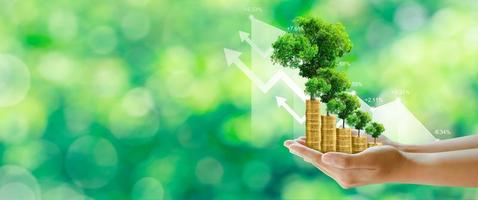dinheiro crescendo, árvore crescendo na pilha de moedas, desenvolvimento sustentável, csr, investimento. foto